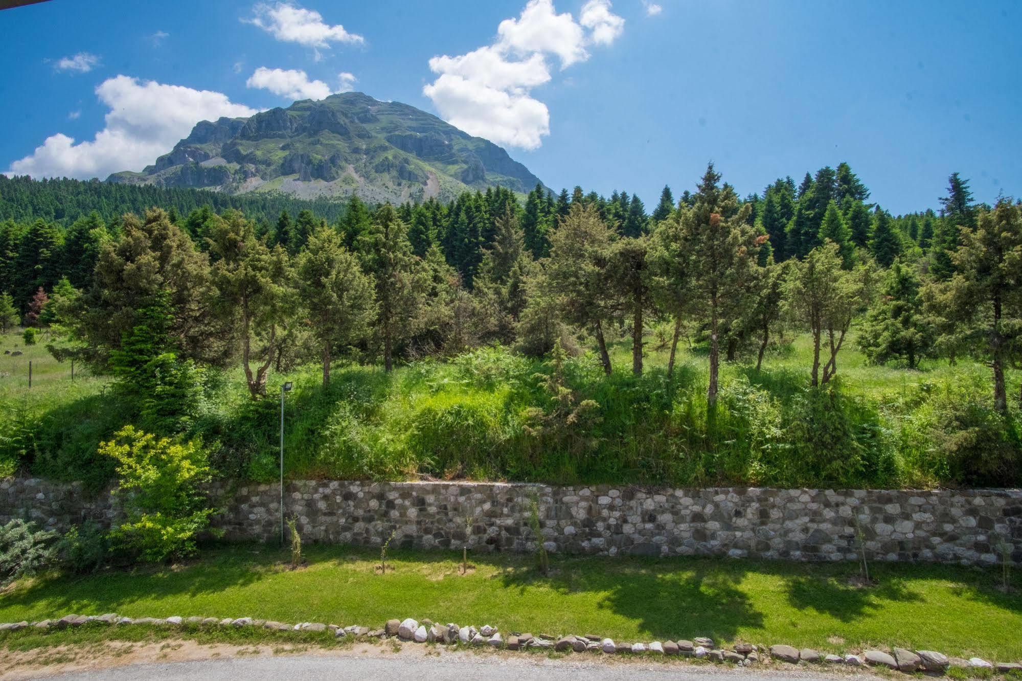 Orizontes Tzoumerkon Hotel Resort Pramanta Ngoại thất bức ảnh